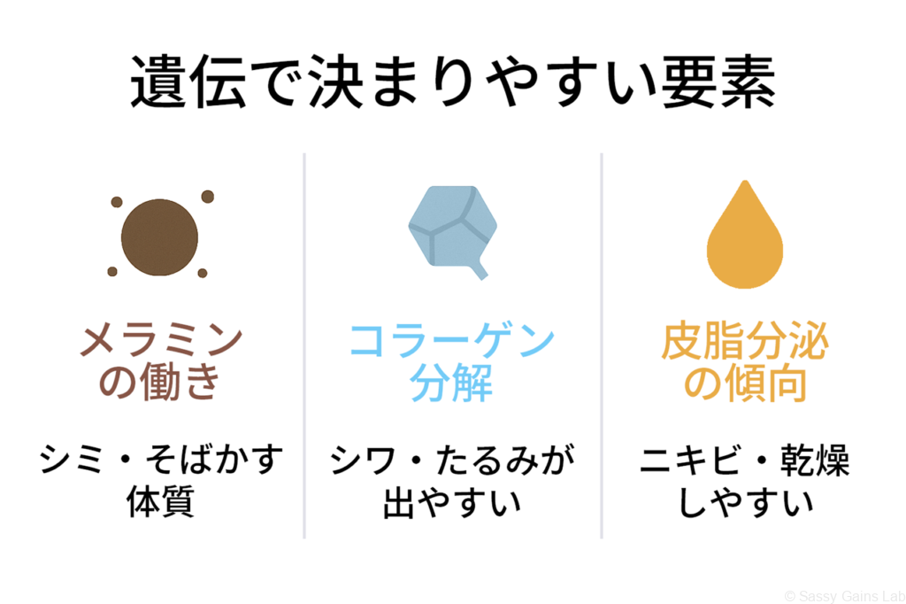 遺伝で決まりやすい肌の特徴をまとめたインフォグラフィック。メラニンによるシミ・そばかす体質、コラーゲン分解によるシワ・たるみ、皮脂分泌によるニキビや乾燥傾向を示している。
